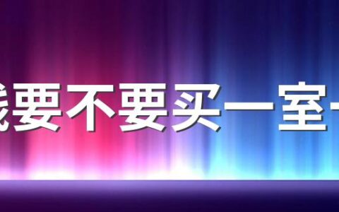 没钱要不要买一室一厅 买小户型房子长期出租划算吗