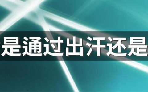 减脂是通过出汗还是呼吸 为什么说减肥是通过呼吸运动减肥