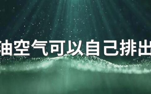 刹车油空气可以自己排出去吗 为什么要更换刹车油