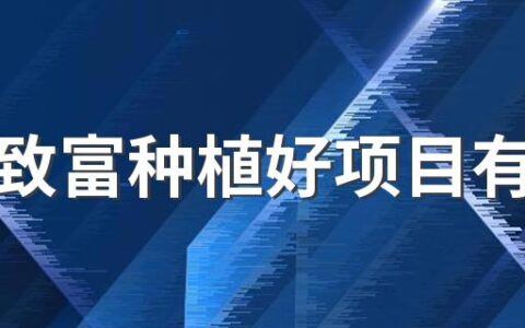 农村致富种植好项目有哪些 农村发展的种植业赚钱项目推荐