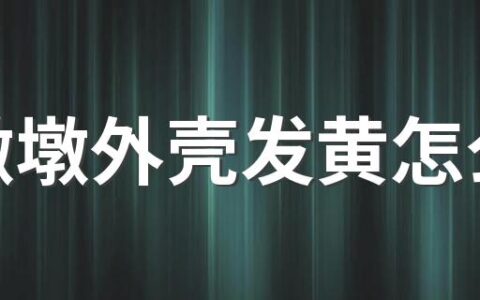 冰墩墩外壳发黄怎么办 冰墩墩的壳是塑料吗