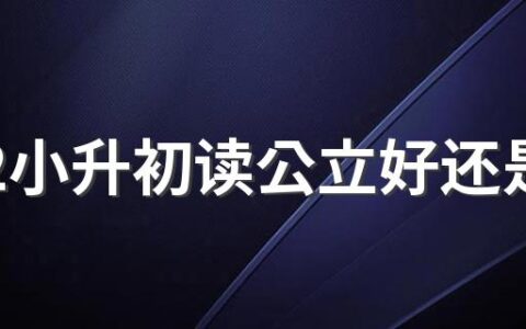 2022小升初读公立好还是私立好 2022小升初考了285分算好吗