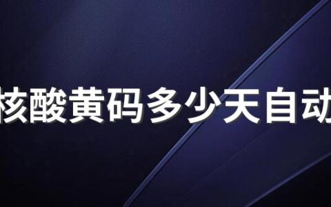 ​做核酸黄码多少天自动解除黄码 第二次核酸过了24小时还没收到报告咋办