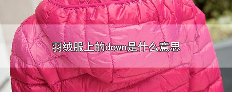 羽绒服上的down是什么意思