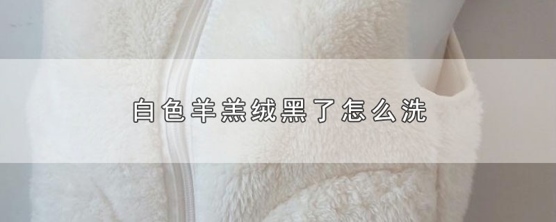 白色羊羔绒黑了怎么洗