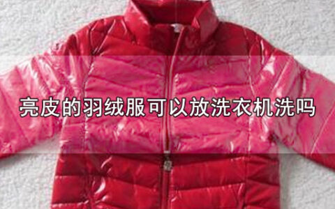 亮皮的羽绒服可以放洗衣机洗吗