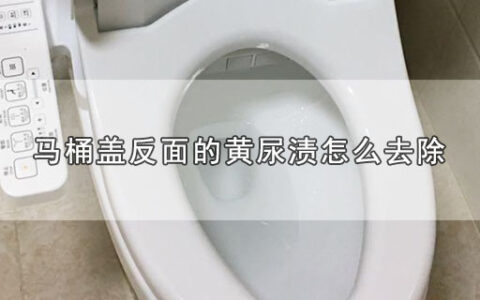 马桶盖反面的黄尿渍怎么去除