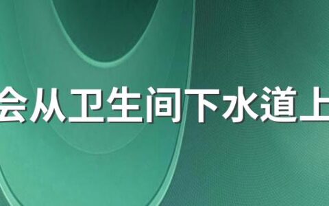 蜈蚣会从卫生间下水道上来吗 蜈蚣一般从哪里爬到家里的