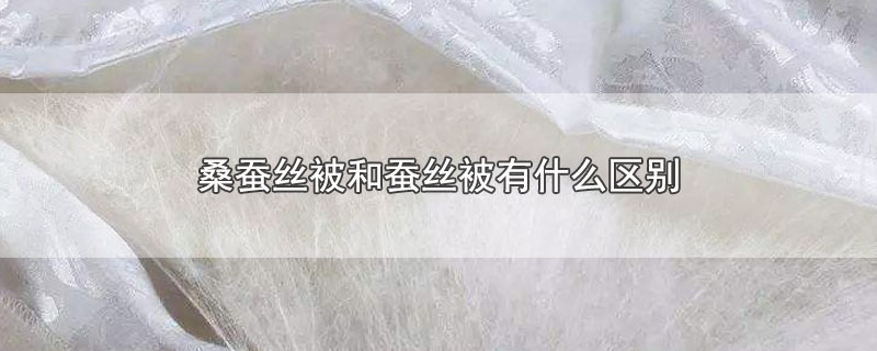 桑蚕丝被和蚕丝被有什么区别