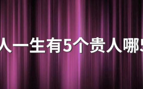 属猪人一生有5个贵人哪5个 属猪人最大靠山是谁