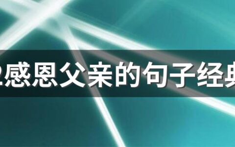 2022感恩父亲的句子经典语录80句 父亲节祝福语