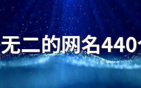 独一无二的网名440个 印象深刻的网名