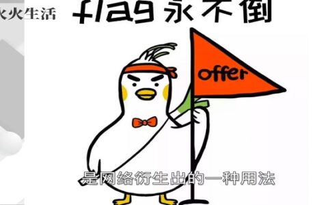 Flag是什么意思中文