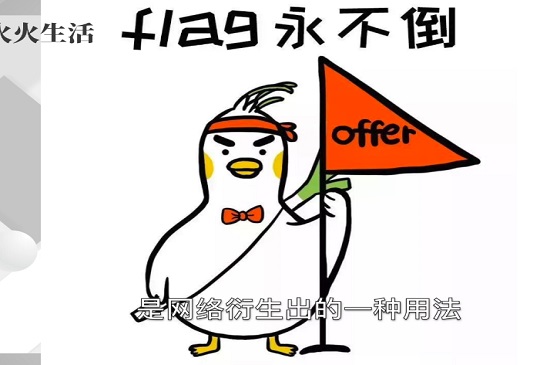 Flag是什么意思中文