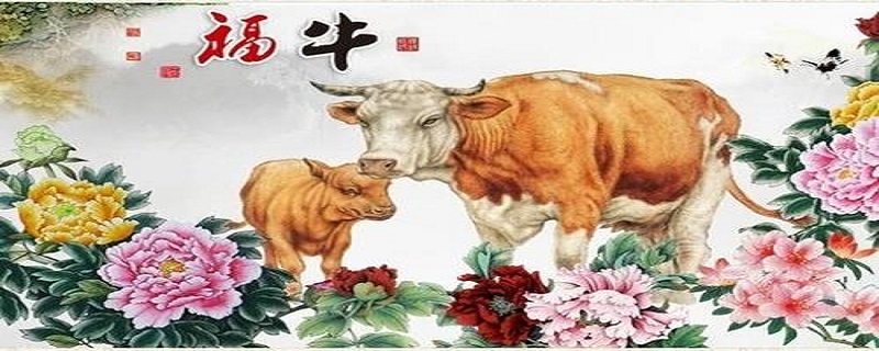 1973年属牛2020年每月运势