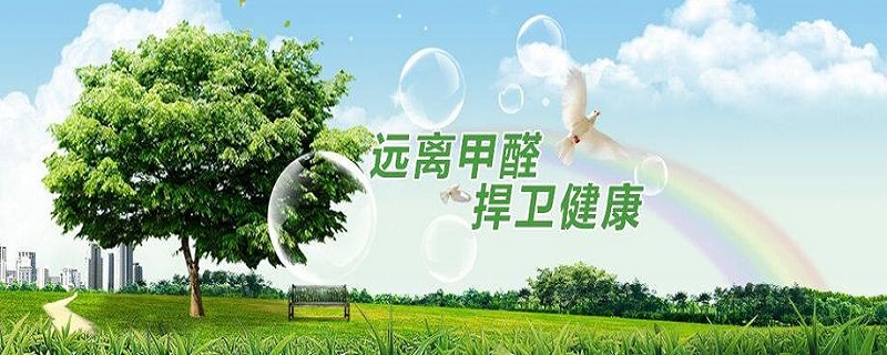 去除甲醛的公司