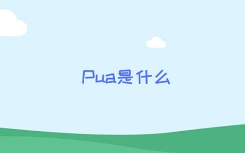 Pua是什么