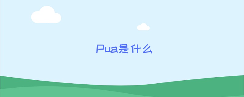 Pua是什么