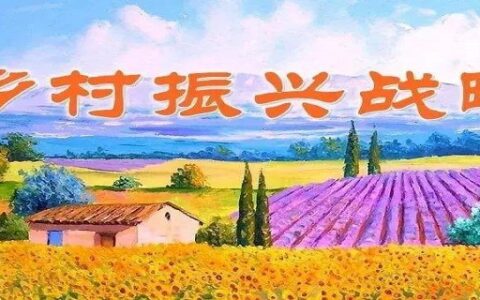 乡村振兴战略20字方针