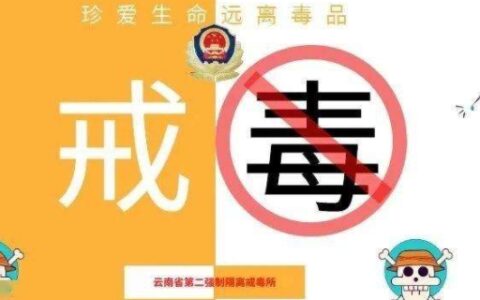 《禁毒法》规定的禁毒工作机制是