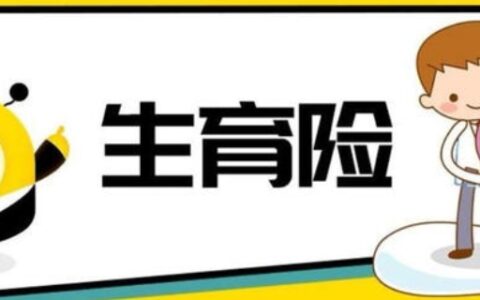 生育险一共报销多少钱