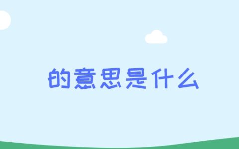 的意思是什么