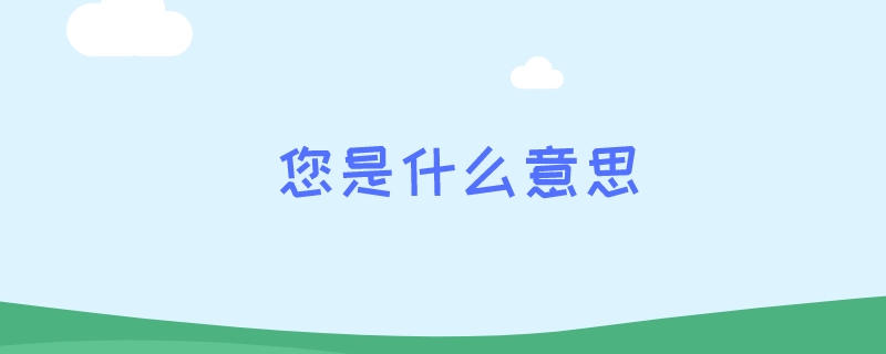 您是什么意思