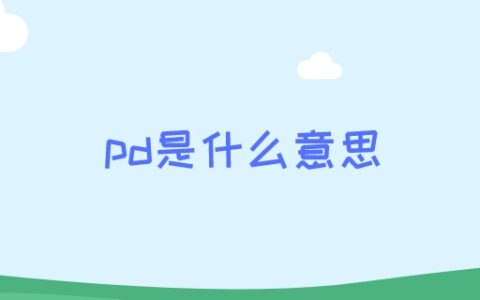 pd是什么意思