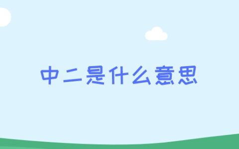 中二是什么意思