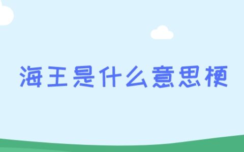 海王是什么意思梗