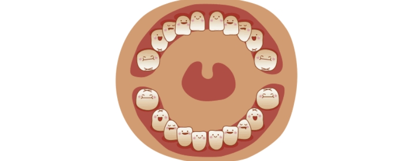 儿童换牙顺序图