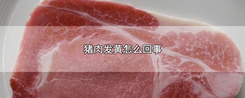 猪肉发黄怎么回事