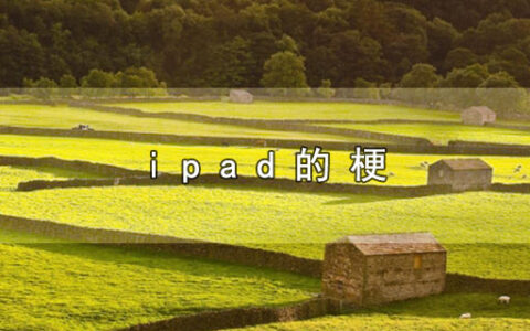 ipad的梗