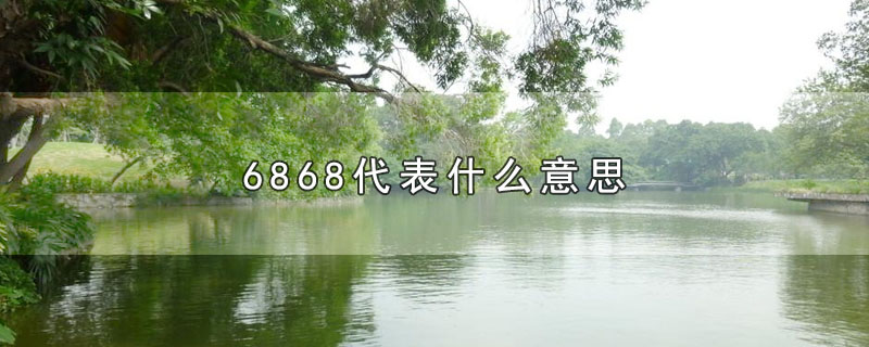 6868代表什么意思