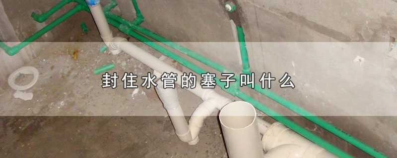 封住水管的塞子叫什么