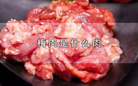 梅肉是什么肉