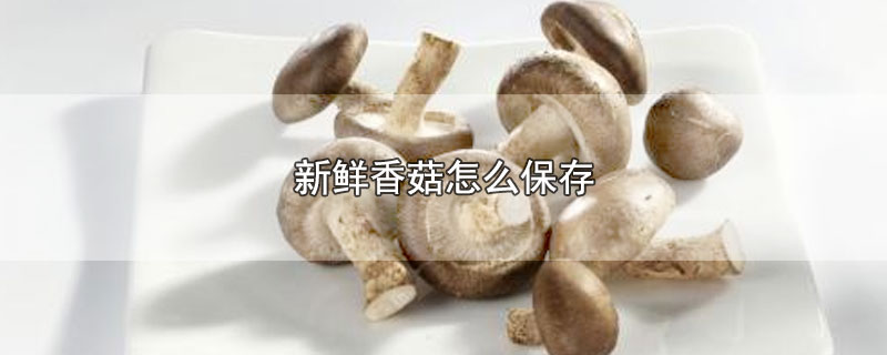 新鲜香菇怎么保存