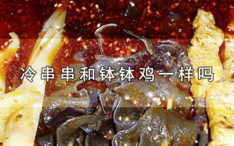 冷串串和钵钵鸡一样吗