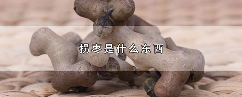 拐枣是什么东西