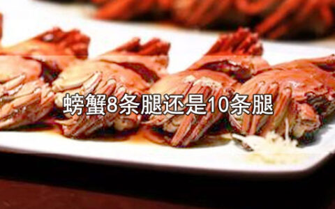 螃蟹8条腿还是10条腿