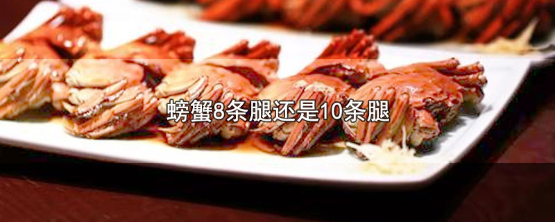 螃蟹8条腿还是10条腿