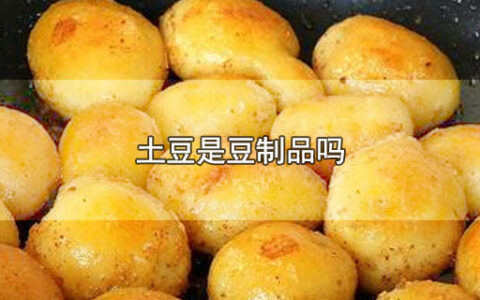 土豆是豆制品吗