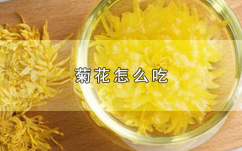 菊花怎么吃