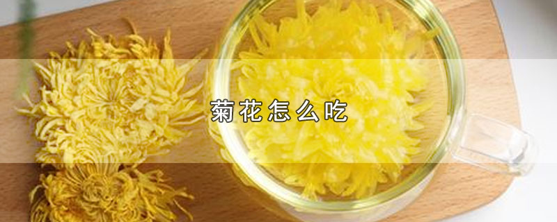 菊花怎么吃