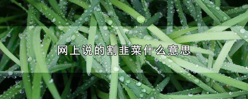 网上说的割韭菜什么意思