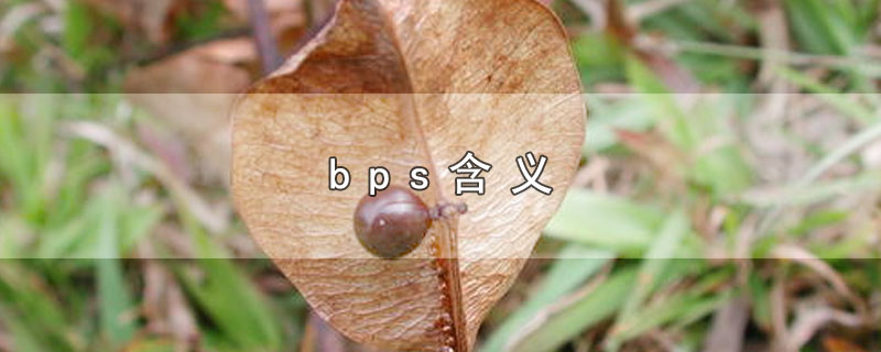 bps含义