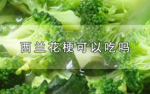 西兰花梗可以吃吗