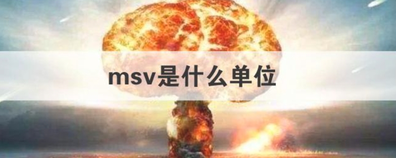 msv是什么单位