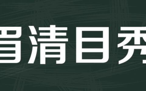 眉什么目什么成语