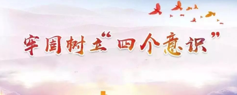 四个意识指的是什么